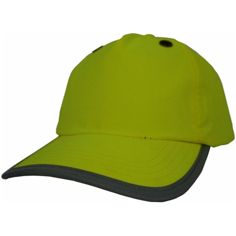 Bump 5 panels Cap