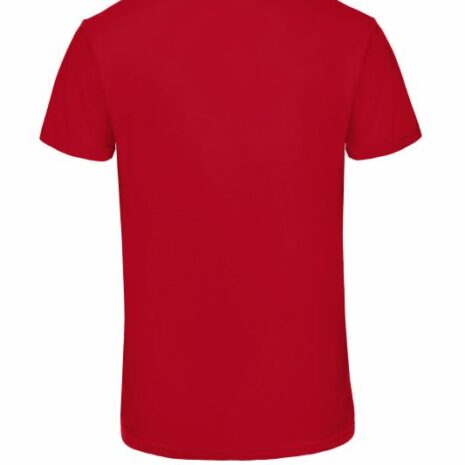 TriBlend V-neck TEE