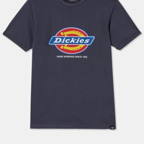 Heren-t-shirt DENISON (DT6010)