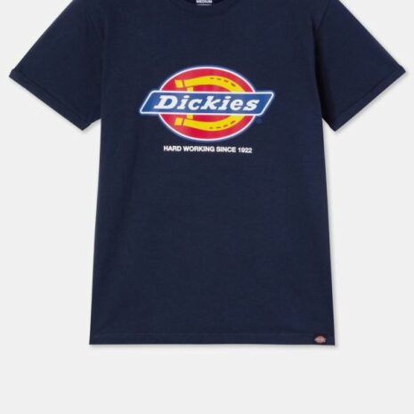 Heren-t-shirt DENISON (DT6010)