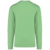 PS_K474-B_APPLEGREEN