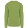 PS_K474-B_PISTACHIO