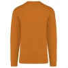 PS_K474-B_PUMPKIN