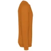 PS_K474-S_PUMPKIN