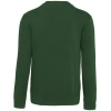 PS_K488-B_FORESTGREEN