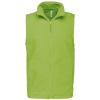 PS_K913_LIME