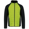 PS_PA233_LIME-BLACK