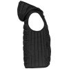 PS_PA238-S_BLACK