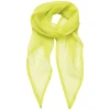 Ladies Chiffon Scarf
