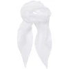 Ladies Chiffon Scarf