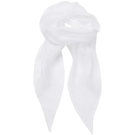 Ladies Chiffon Scarf