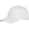 Houston Printers Cap