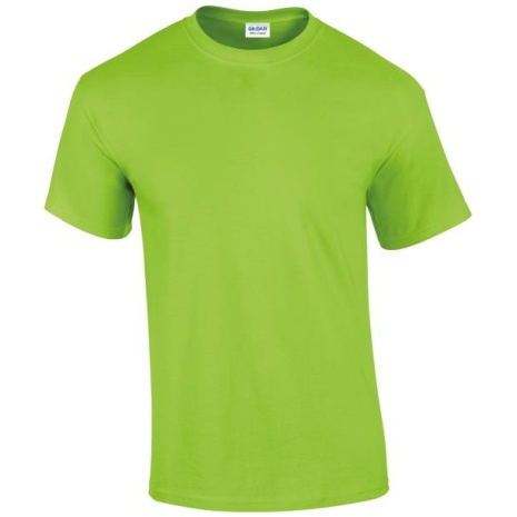 Ultra Cotton™ Classic Fit Adult T-shirt