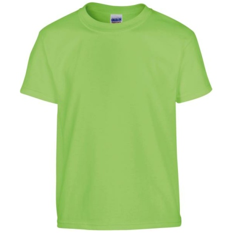 Heavy Cotton™Classic Fit Youth T-shirt