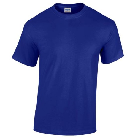 Heavy Cotton™Classic Fit Adult T-shirt