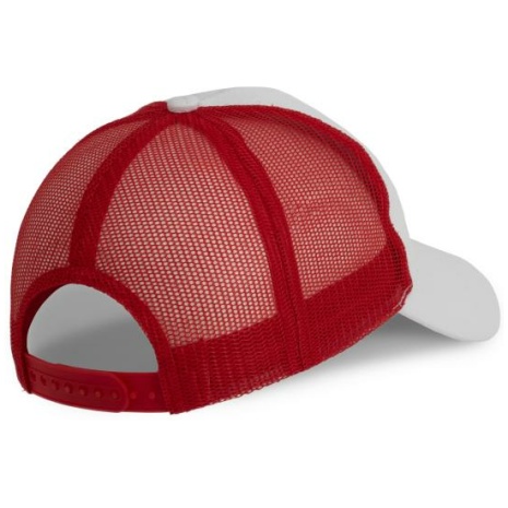 Pet Trucker - 6 panelen