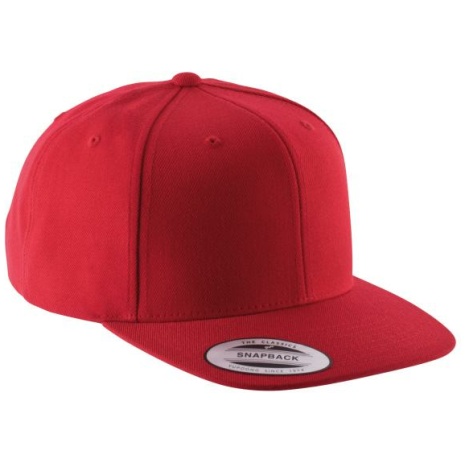 Flexfit  pet met platte zonneklep - 6 panelen